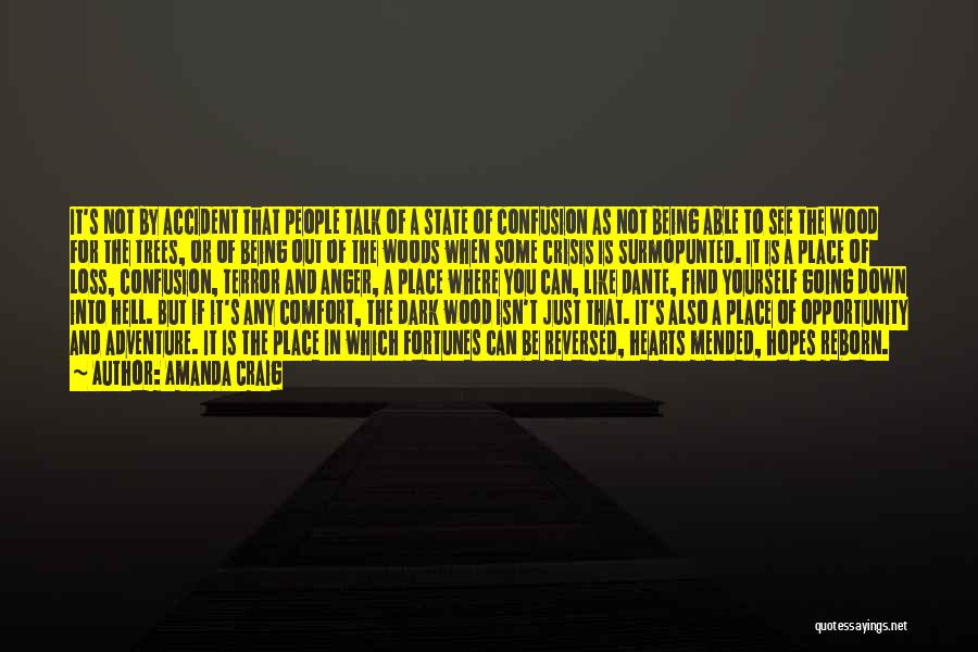 Amanda Craig Quotes: It's Not By Accident That People Talk Of A State Of Confusion As Not Being Able To See The Wood