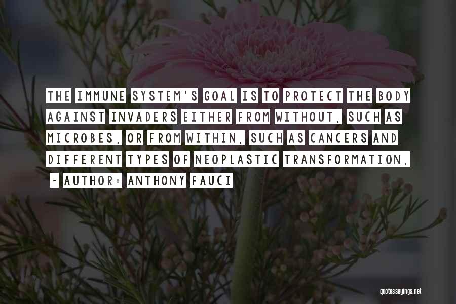 Anthony Fauci Quotes: The Immune System's Goal Is To Protect The Body Against Invaders Either From Without, Such As Microbes, Or From Within,