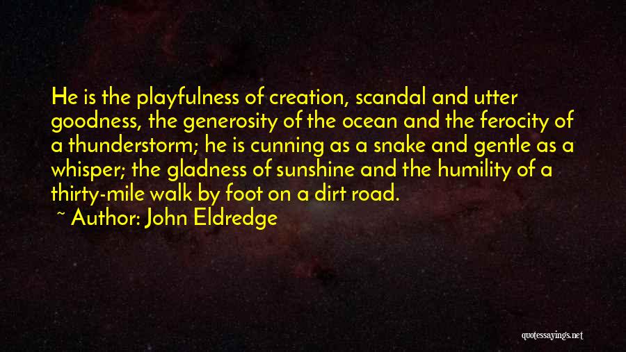 John Eldredge Quotes: He Is The Playfulness Of Creation, Scandal And Utter Goodness, The Generosity Of The Ocean And The Ferocity Of A