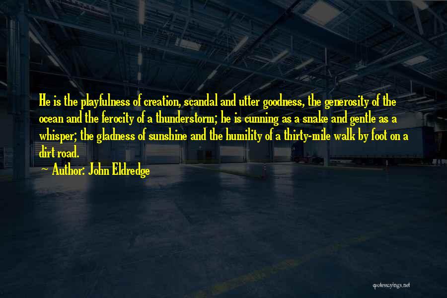 John Eldredge Quotes: He Is The Playfulness Of Creation, Scandal And Utter Goodness, The Generosity Of The Ocean And The Ferocity Of A