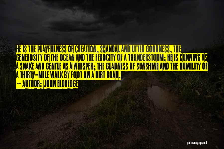 John Eldredge Quotes: He Is The Playfulness Of Creation, Scandal And Utter Goodness, The Generosity Of The Ocean And The Ferocity Of A