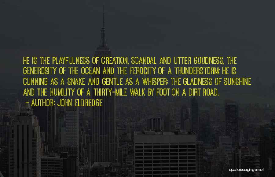 John Eldredge Quotes: He Is The Playfulness Of Creation, Scandal And Utter Goodness, The Generosity Of The Ocean And The Ferocity Of A