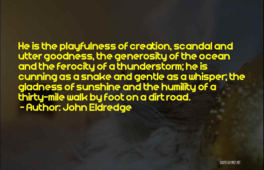 John Eldredge Quotes: He Is The Playfulness Of Creation, Scandal And Utter Goodness, The Generosity Of The Ocean And The Ferocity Of A