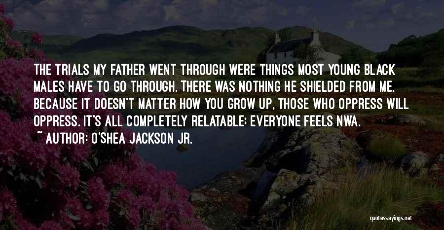 O'Shea Jackson Jr. Quotes: The Trials My Father Went Through Were Things Most Young Black Males Have To Go Through. There Was Nothing He