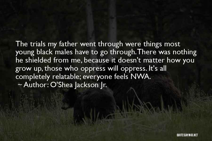 O'Shea Jackson Jr. Quotes: The Trials My Father Went Through Were Things Most Young Black Males Have To Go Through. There Was Nothing He