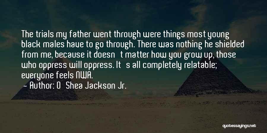 O'Shea Jackson Jr. Quotes: The Trials My Father Went Through Were Things Most Young Black Males Have To Go Through. There Was Nothing He