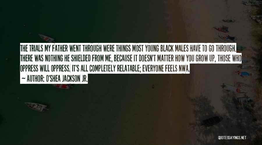 O'Shea Jackson Jr. Quotes: The Trials My Father Went Through Were Things Most Young Black Males Have To Go Through. There Was Nothing He