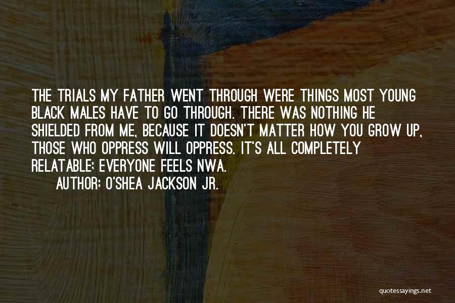 O'Shea Jackson Jr. Quotes: The Trials My Father Went Through Were Things Most Young Black Males Have To Go Through. There Was Nothing He