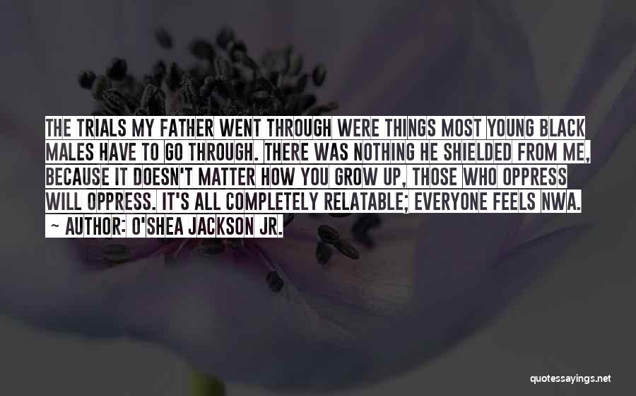 O'Shea Jackson Jr. Quotes: The Trials My Father Went Through Were Things Most Young Black Males Have To Go Through. There Was Nothing He