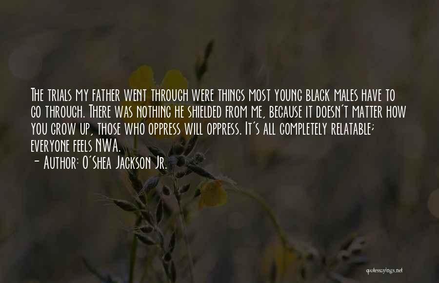 O'Shea Jackson Jr. Quotes: The Trials My Father Went Through Were Things Most Young Black Males Have To Go Through. There Was Nothing He