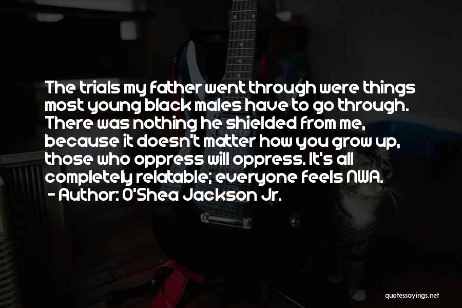 O'Shea Jackson Jr. Quotes: The Trials My Father Went Through Were Things Most Young Black Males Have To Go Through. There Was Nothing He