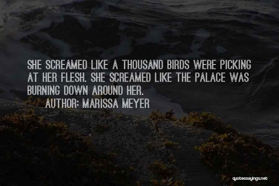 Marissa Meyer Quotes: She Screamed Like A Thousand Birds Were Picking At Her Flesh. She Screamed Like The Palace Was Burning Down Around