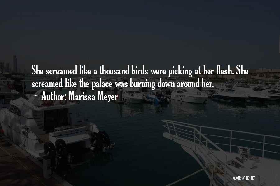 Marissa Meyer Quotes: She Screamed Like A Thousand Birds Were Picking At Her Flesh. She Screamed Like The Palace Was Burning Down Around