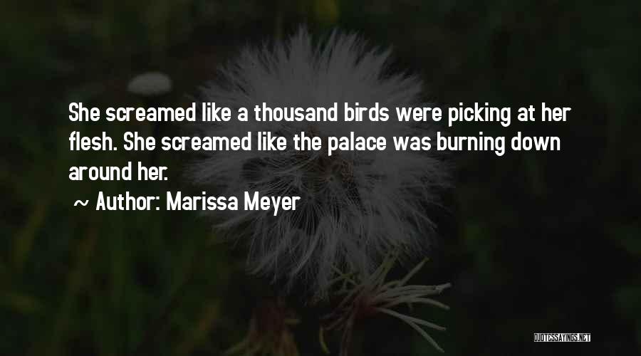 Marissa Meyer Quotes: She Screamed Like A Thousand Birds Were Picking At Her Flesh. She Screamed Like The Palace Was Burning Down Around