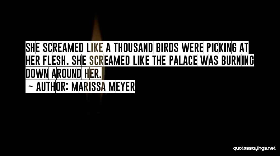 Marissa Meyer Quotes: She Screamed Like A Thousand Birds Were Picking At Her Flesh. She Screamed Like The Palace Was Burning Down Around