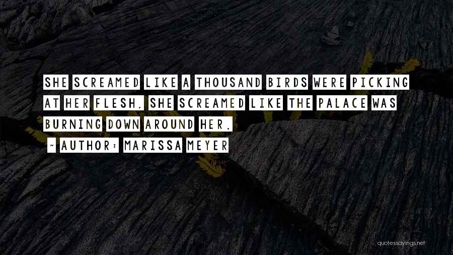 Marissa Meyer Quotes: She Screamed Like A Thousand Birds Were Picking At Her Flesh. She Screamed Like The Palace Was Burning Down Around