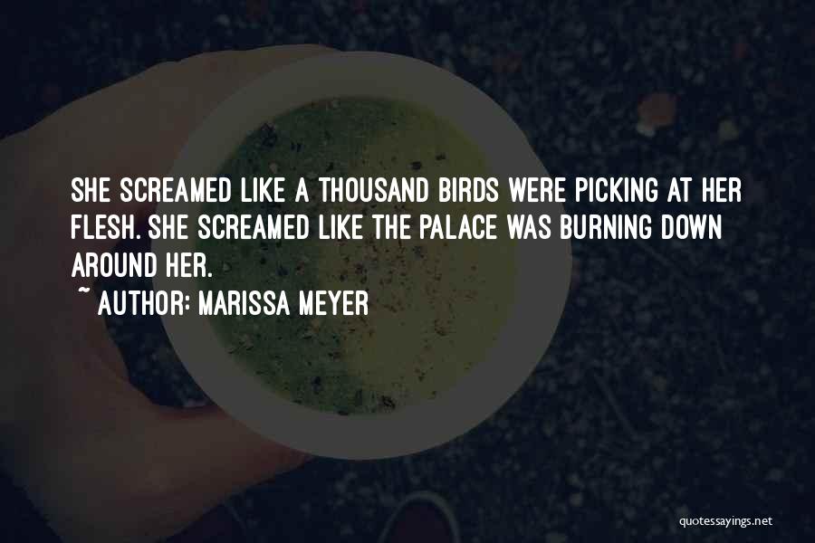 Marissa Meyer Quotes: She Screamed Like A Thousand Birds Were Picking At Her Flesh. She Screamed Like The Palace Was Burning Down Around