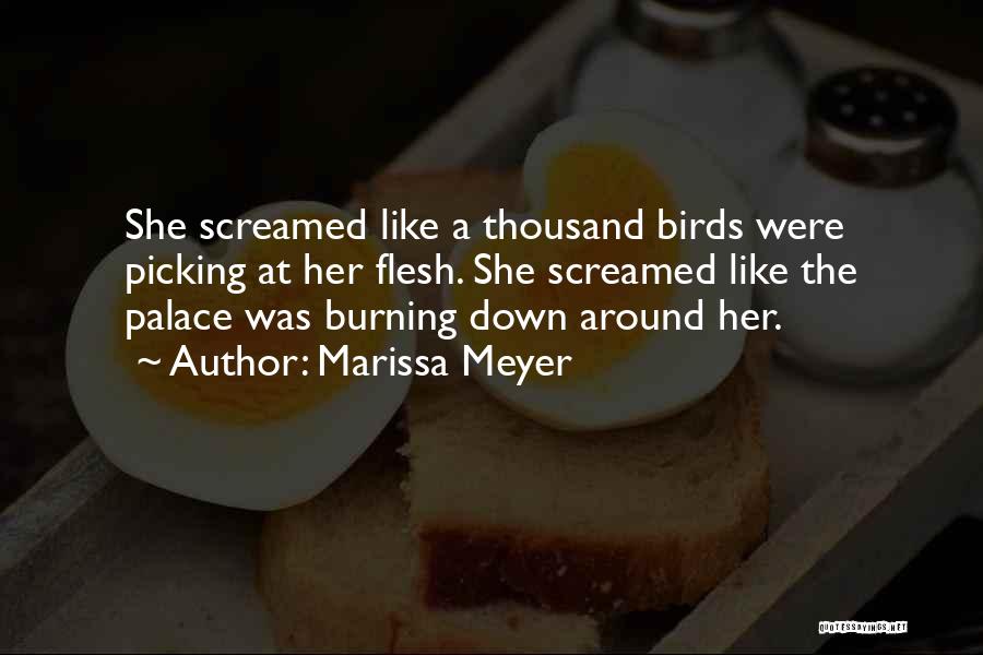 Marissa Meyer Quotes: She Screamed Like A Thousand Birds Were Picking At Her Flesh. She Screamed Like The Palace Was Burning Down Around