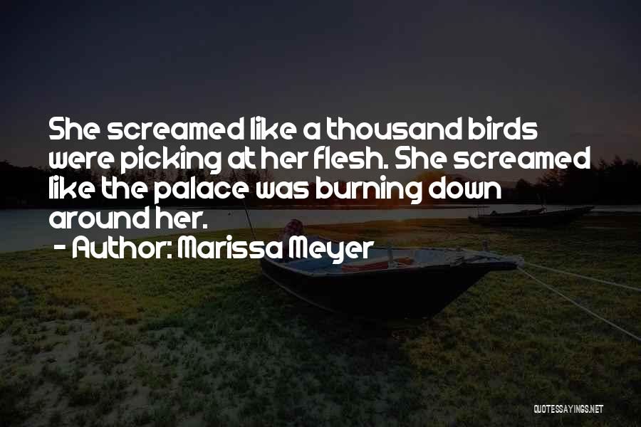 Marissa Meyer Quotes: She Screamed Like A Thousand Birds Were Picking At Her Flesh. She Screamed Like The Palace Was Burning Down Around