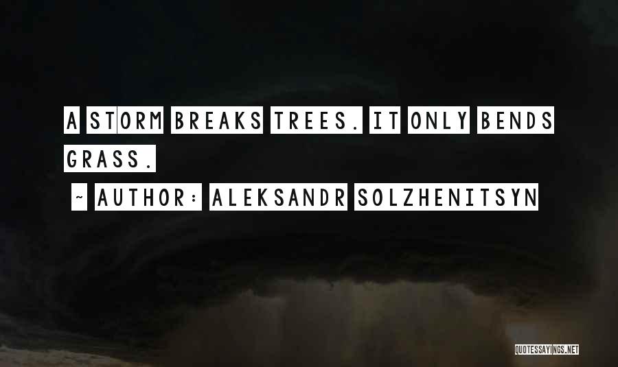 Aleksandr Solzhenitsyn Quotes: A Storm Breaks Trees. It Only Bends Grass.