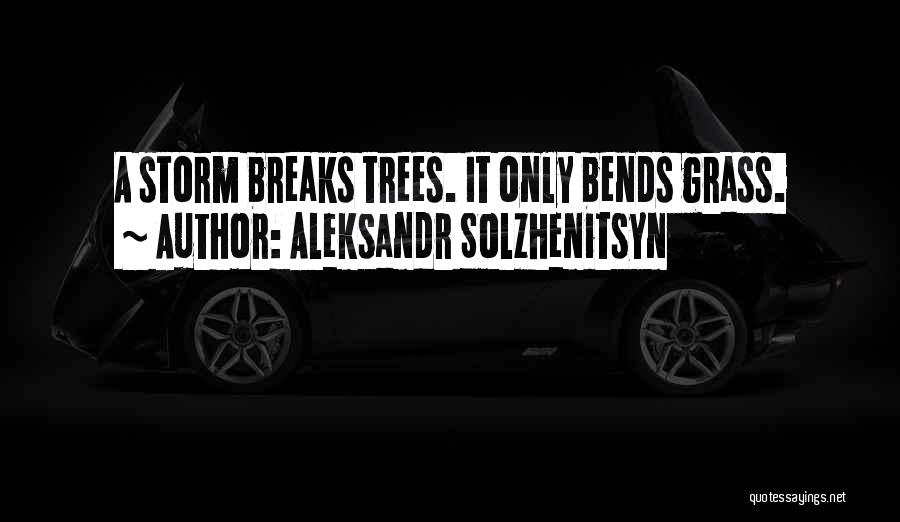 Aleksandr Solzhenitsyn Quotes: A Storm Breaks Trees. It Only Bends Grass.