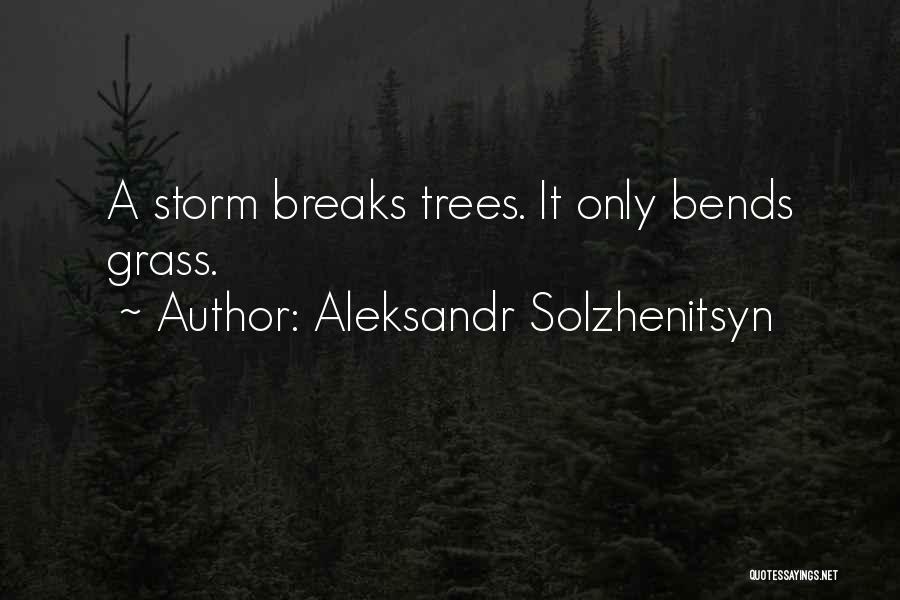 Aleksandr Solzhenitsyn Quotes: A Storm Breaks Trees. It Only Bends Grass.