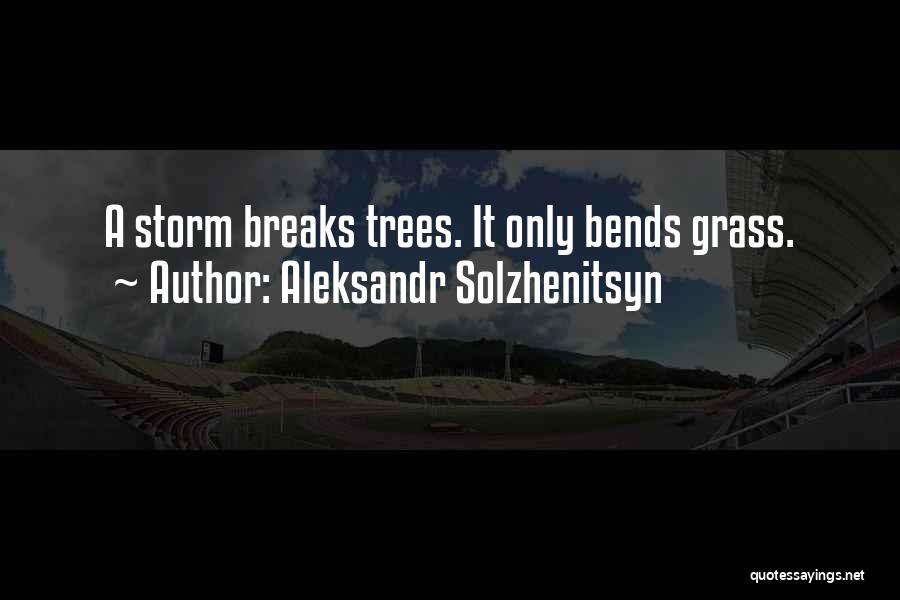 Aleksandr Solzhenitsyn Quotes: A Storm Breaks Trees. It Only Bends Grass.