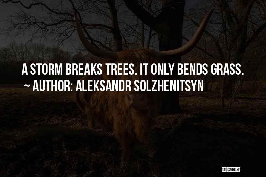 Aleksandr Solzhenitsyn Quotes: A Storm Breaks Trees. It Only Bends Grass.