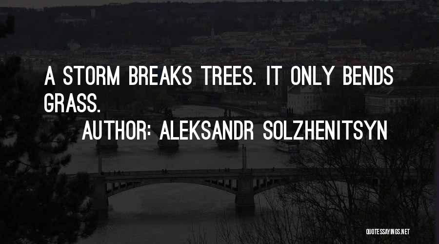 Aleksandr Solzhenitsyn Quotes: A Storm Breaks Trees. It Only Bends Grass.