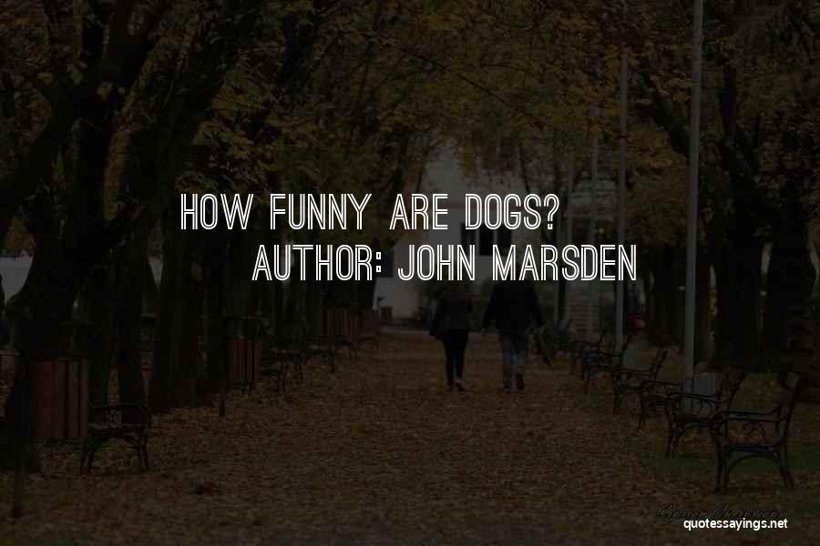 John Marsden Quotes: How Funny Are Dogs?