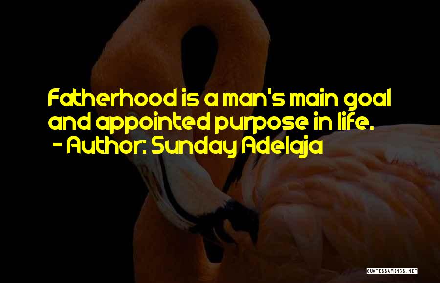 Sunday Adelaja Quotes: Fatherhood Is A Man's Main Goal And Appointed Purpose In Life.