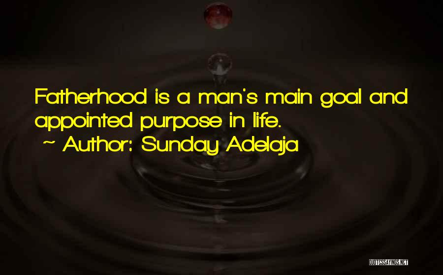 Sunday Adelaja Quotes: Fatherhood Is A Man's Main Goal And Appointed Purpose In Life.