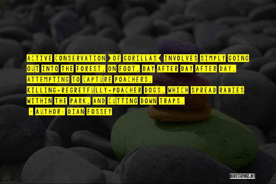 Dian Fossey Quotes: Active Conservation [of Gorillas] Involves Simply Going Out Into The Forest, On Foot, Day After Day After Day, Attempting To