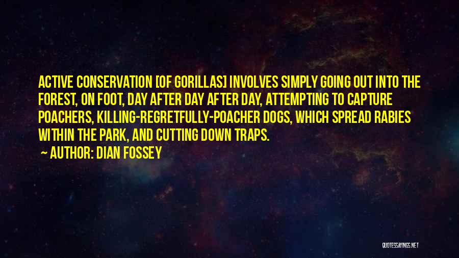 Dian Fossey Quotes: Active Conservation [of Gorillas] Involves Simply Going Out Into The Forest, On Foot, Day After Day After Day, Attempting To