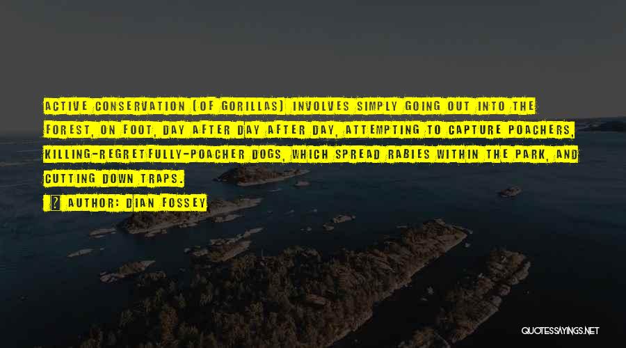 Dian Fossey Quotes: Active Conservation [of Gorillas] Involves Simply Going Out Into The Forest, On Foot, Day After Day After Day, Attempting To