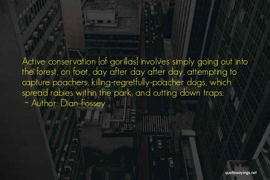 Dian Fossey Quotes: Active Conservation [of Gorillas] Involves Simply Going Out Into The Forest, On Foot, Day After Day After Day, Attempting To