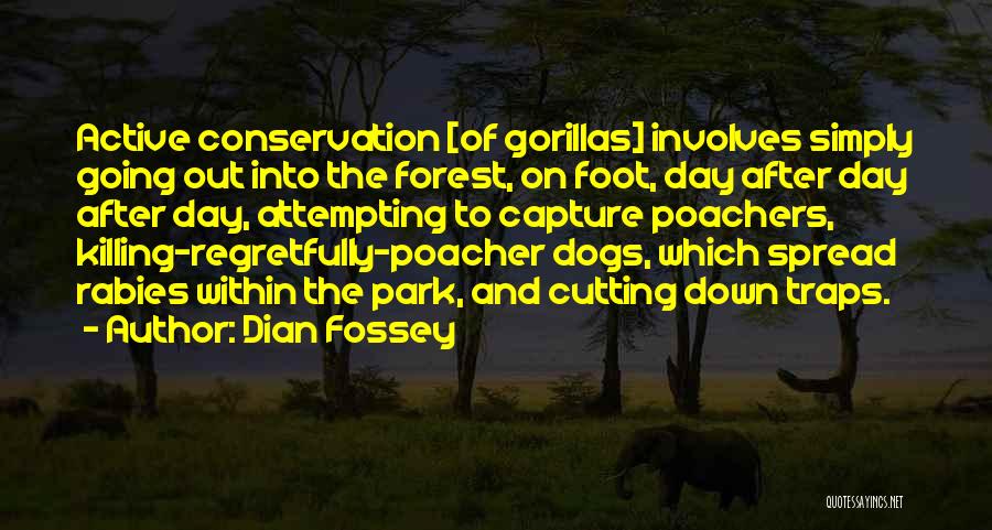 Dian Fossey Quotes: Active Conservation [of Gorillas] Involves Simply Going Out Into The Forest, On Foot, Day After Day After Day, Attempting To