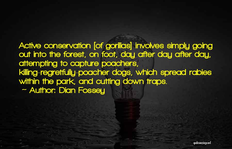 Dian Fossey Quotes: Active Conservation [of Gorillas] Involves Simply Going Out Into The Forest, On Foot, Day After Day After Day, Attempting To