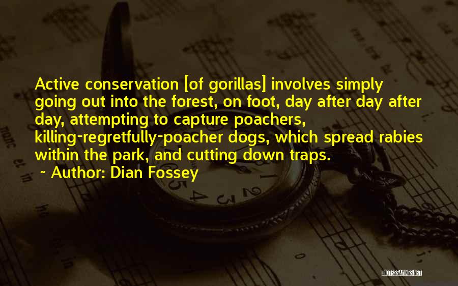 Dian Fossey Quotes: Active Conservation [of Gorillas] Involves Simply Going Out Into The Forest, On Foot, Day After Day After Day, Attempting To