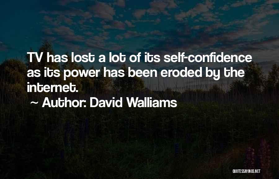David Walliams Quotes: Tv Has Lost A Lot Of Its Self-confidence As Its Power Has Been Eroded By The Internet.