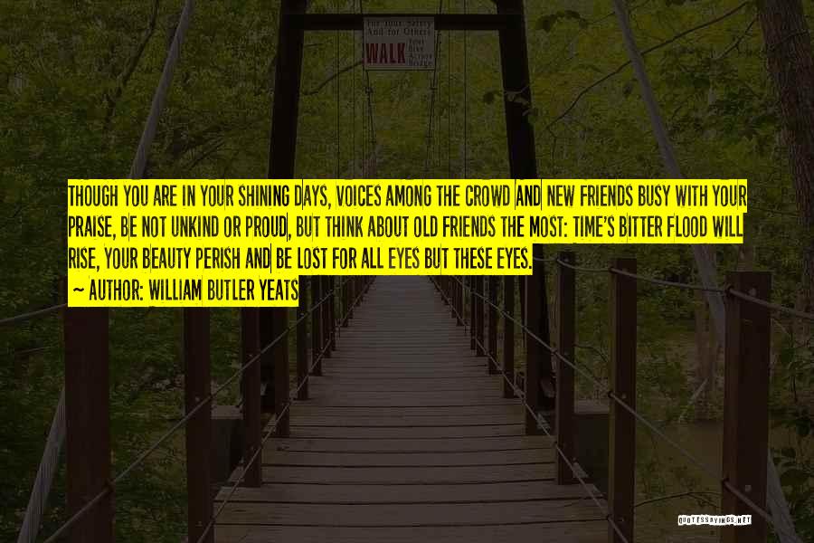 William Butler Yeats Quotes: Though You Are In Your Shining Days, Voices Among The Crowd And New Friends Busy With Your Praise, Be Not