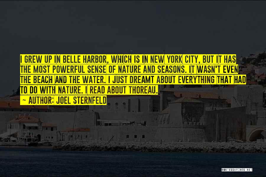 Joel Sternfeld Quotes: I Grew Up In Belle Harbor, Which Is In New York City, But It Has The Most Powerful Sense Of