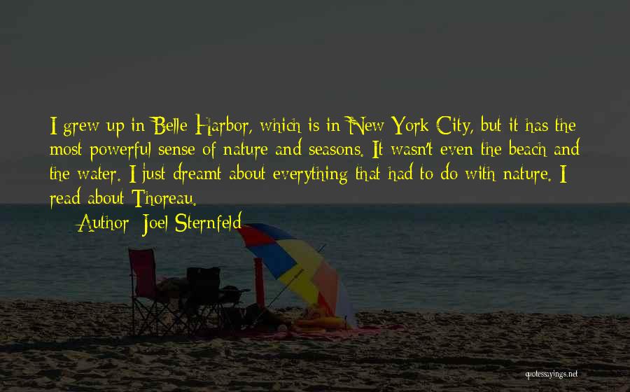 Joel Sternfeld Quotes: I Grew Up In Belle Harbor, Which Is In New York City, But It Has The Most Powerful Sense Of