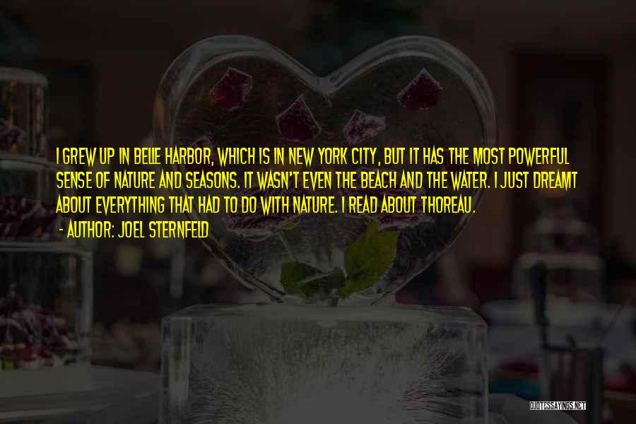 Joel Sternfeld Quotes: I Grew Up In Belle Harbor, Which Is In New York City, But It Has The Most Powerful Sense Of
