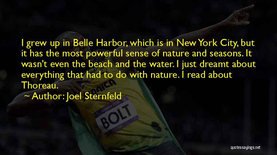 Joel Sternfeld Quotes: I Grew Up In Belle Harbor, Which Is In New York City, But It Has The Most Powerful Sense Of