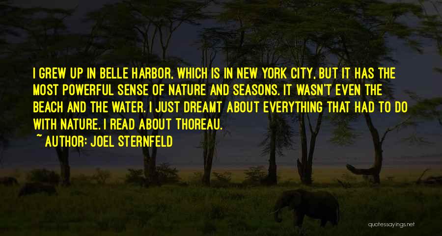 Joel Sternfeld Quotes: I Grew Up In Belle Harbor, Which Is In New York City, But It Has The Most Powerful Sense Of