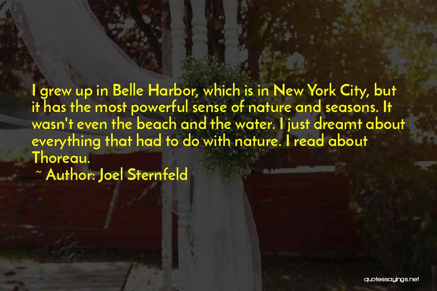 Joel Sternfeld Quotes: I Grew Up In Belle Harbor, Which Is In New York City, But It Has The Most Powerful Sense Of