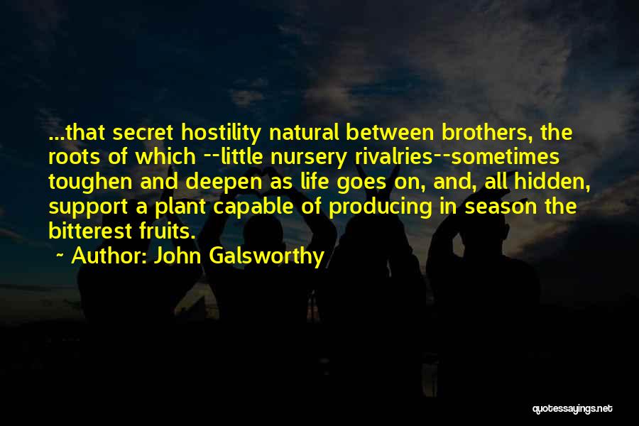 John Galsworthy Quotes: ...that Secret Hostility Natural Between Brothers, The Roots Of Which --little Nursery Rivalries--sometimes Toughen And Deepen As Life Goes On,