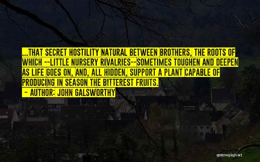 John Galsworthy Quotes: ...that Secret Hostility Natural Between Brothers, The Roots Of Which --little Nursery Rivalries--sometimes Toughen And Deepen As Life Goes On,