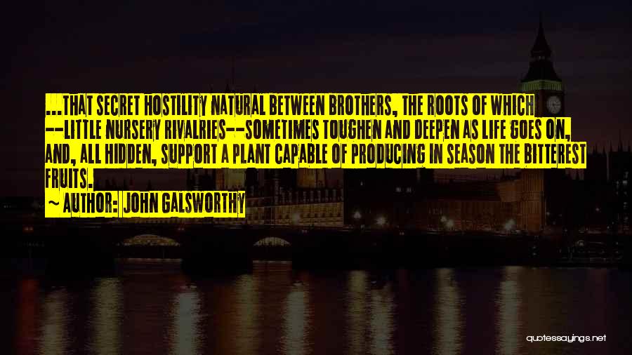 John Galsworthy Quotes: ...that Secret Hostility Natural Between Brothers, The Roots Of Which --little Nursery Rivalries--sometimes Toughen And Deepen As Life Goes On,